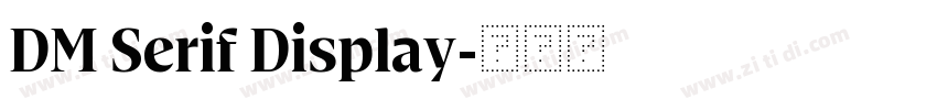 DM Serif Display字体转换